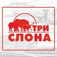 Три слона