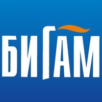Бигам